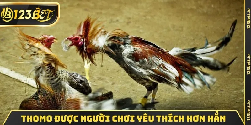 Thomo được người chơi yêu thích hơn hẳn