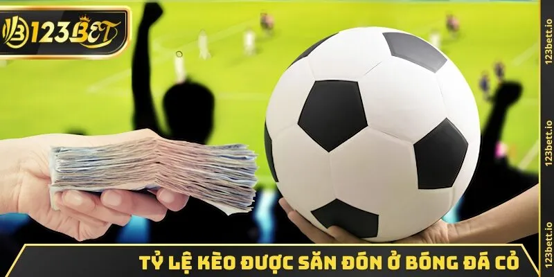 Tỷ lệ kèo được săn đón ở bóng đá cỏ
